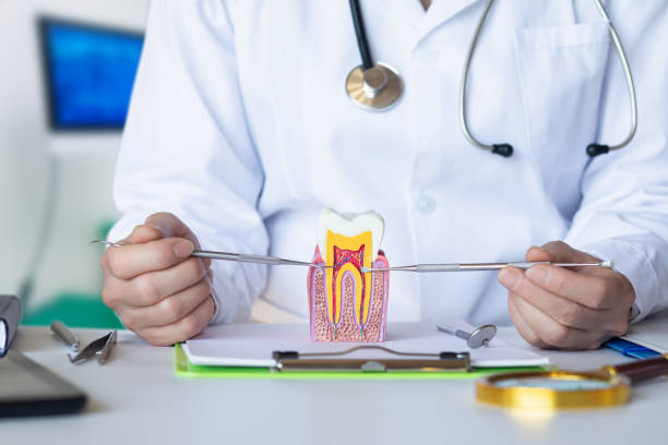 Best Emergency Gum Pain Relief  in Siler City, NC